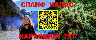 сатива Волжский